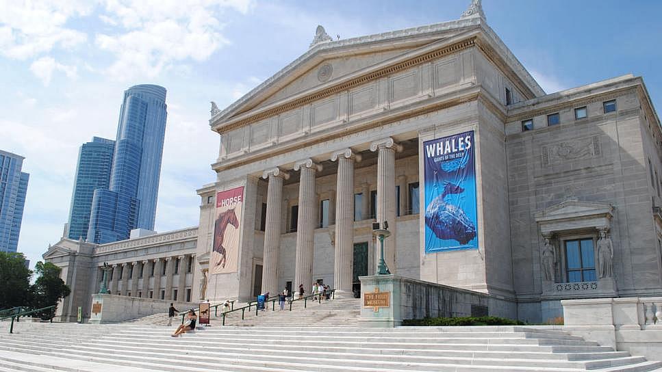 Field Museum Announces New Exhibition Highlighting Ancient Greece