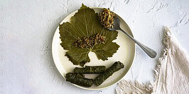 From Local Delicacy to Global Obsession: How a Greek Family Conquered the World of Dolmades